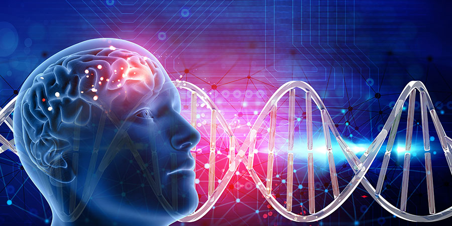 The Purpose and Sacramental Development of The Frontal Lobes of Human Brain