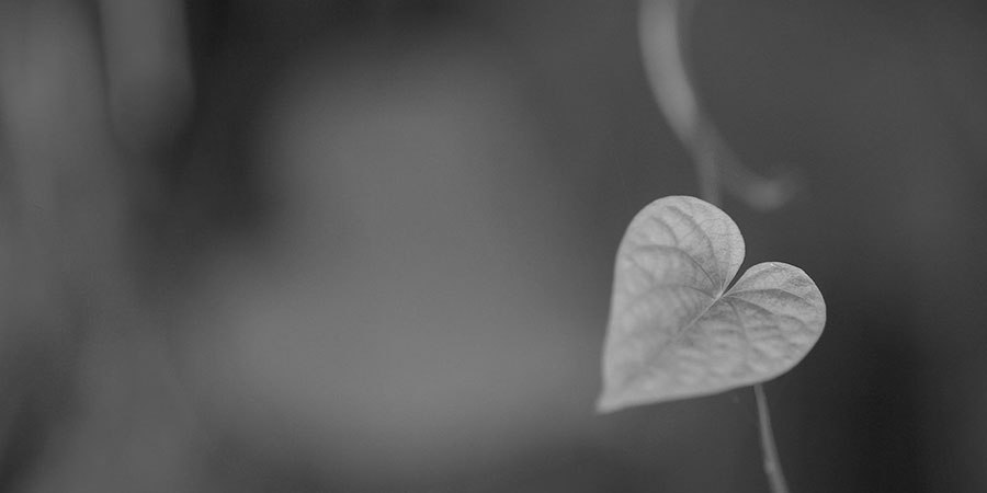 How to Develop & Balance 'Compassionate Love' with Wisdom in 3rd Density